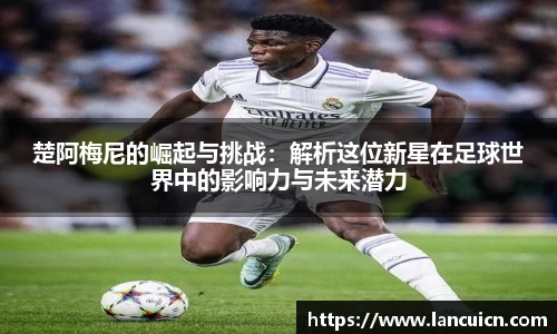 xingkong体育官网登录入口